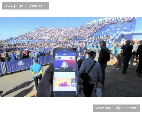 技术联盟推动了API深度开放 激活了体育产业链协同下的第三方插件繁荣